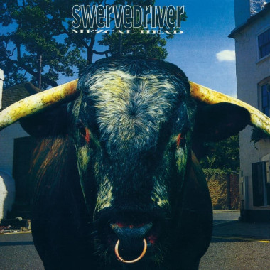 Swervedriver • Mezcal Head