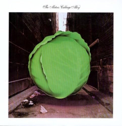 Meters • Cabbage Alley