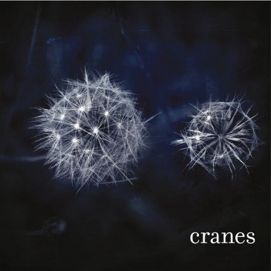 Cranes • Cranes