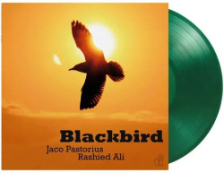 Jaco Pastorius & Rashied Ali • Blackbird