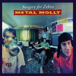Metal Molly • Surgery For Zebra