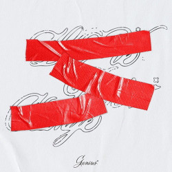 Geenius • Spoiler Book