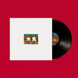 Akmu • Flowering