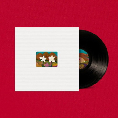 Akmu • Flowering