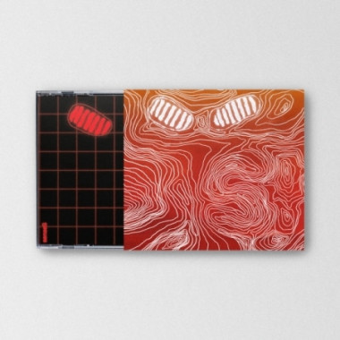 Da Bin Hong • Senses