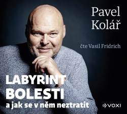 Fridrich Vasil / Kolář Pavel: • Labyrint bolesti (MP3-CD)