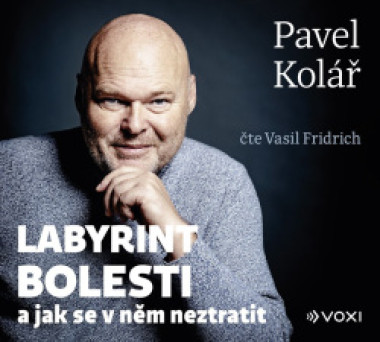 Fridrich Vasil / Kolář Pavel: • Labyrint bolesti (MP3-CD)