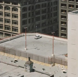 Arctic Monkeys • The Car (LP)