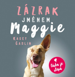 Audiokniha: Carlin Kasey • Zázrak jménem Maggie / Čte Slováčková Anna Julie (MP3-CD)