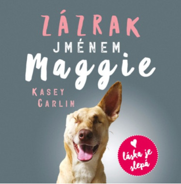 Audiokniha: Carlin Kasey • Zázrak jménem Maggie / Čte Slováčková Anna Julie (MP3-CD)