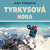 Audiokniha: Štěrbová Diana • Tyrkysová hora / Čte Krausová Anita (MP3-CD)