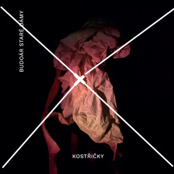 Budoár staré dámy • Kostřičky (LP)