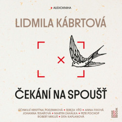 Audiokniha: Kábrtová Lidmila • Čekání na spoušť / Čtou K. Podzimková, T. Vítů, M. Zahálka, R. Mikluš  (MP3-CD)