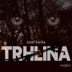 KALUŽA JOSEF, NORBERT LICHÝ, D • KARIKA: TRHLINA (MP3-CD)