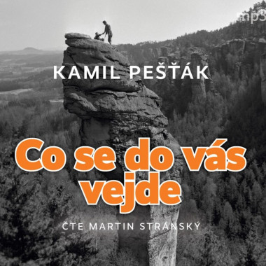 Audiokniha: Pešťák Kamil • Co se do vás vejde / Čte Martin Stránský (MP3-CD)