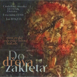 CM Technik & Flair Ensamble • Do dřeva zakletá (2CD)