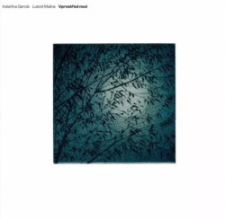García Kateřina, Malina Luboš • Vprostřed noci (LP)