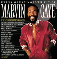 Gaye Marvin • Every Great Motown Hit (LP)