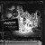 Hooverphonic • President Of The Lsd Golf Club / Silver and Black Vinyl (LP)