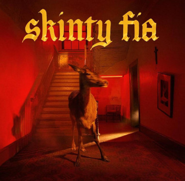 Fontaines D.c.: • Skinty Fia: