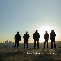 LOS LOBOS: • NATIVE SONS / COKE BOTTLE CLEAR VINYL