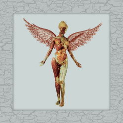 Nirvana • In Utero / 30th Anniversary / Deluxe Box Set (8LP)