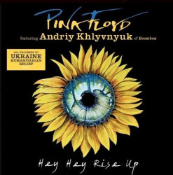Pink Floyd • Hey Hey Rise Up / Feat. Andriy Khlyvnyuk Of Boombox (LP)