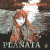 Audiokniha: Dvořáková Petra • Pláňata / Čtou Robert Mikluš, Marie Černochová... (MP3-CD)