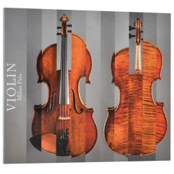 Pala Milan • Violin