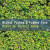 Prokop Michal / Framus Five • Mohlo by to bejt nebe…