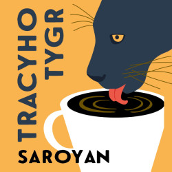 Audiokniha: Saroyan William •  Tracyho Tygr / Čtou Vojtěch Dyk, Martha Issová a další  (MP3-CD)