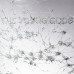 Young Gods: • Appear Disappear