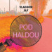 Hašek Gustav • Zlý: Pod haldou (MP3-CD)