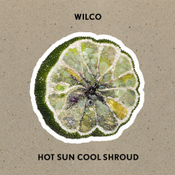 Wilco • Hot Sun Cool Shroud (LP)