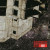 Disordered Kind • Fatum (LP)